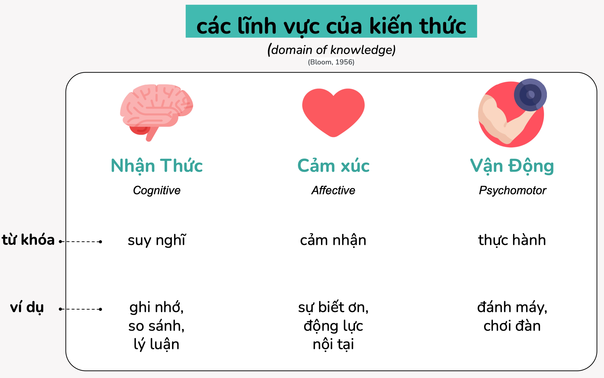 Cac-linh-vuc-cua-kien-thuc