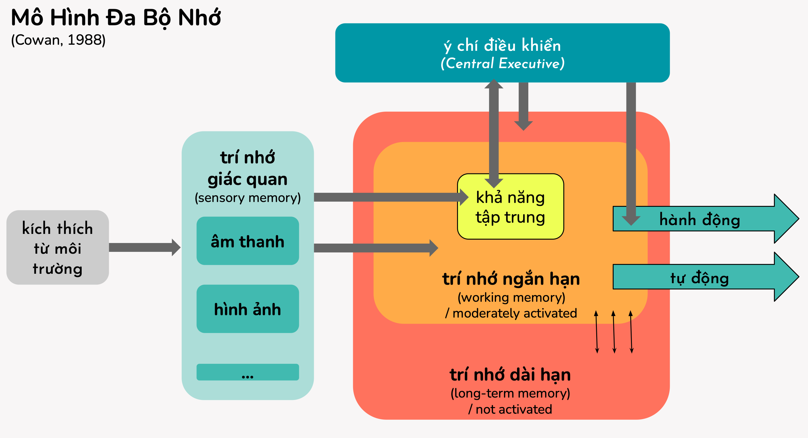 Mo-hinh-da-bo-nho-cach-tiep-can-duong-dai