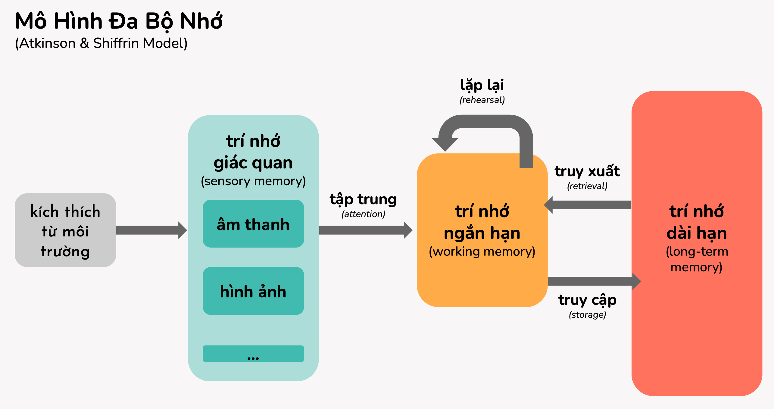 Mo-hinh-da-bo-nho-cach-tiep-can-truyen-thong