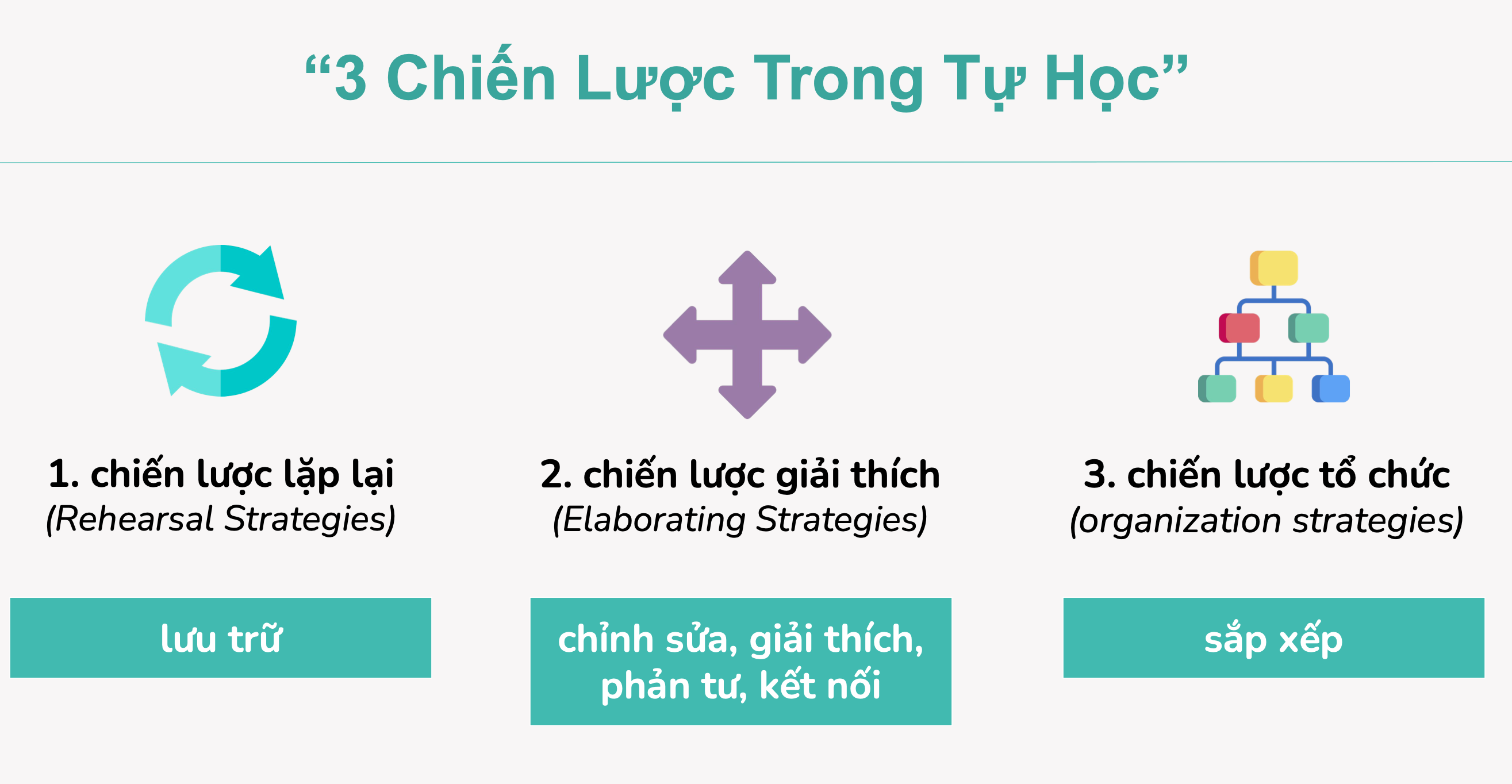 3-chien-luoc-trong-tu-hoc