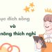 muc-dich-song-va-kha-nang-thich-nghi-phan-2