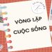 vong-lap-cua-cuoc-song