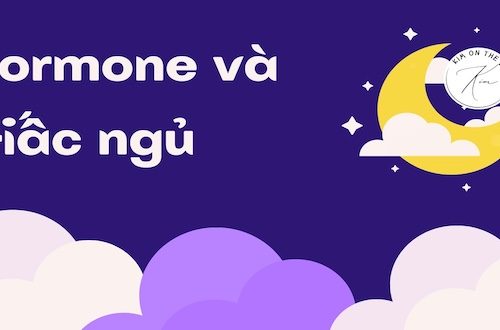 hormone-va-giac-ngu